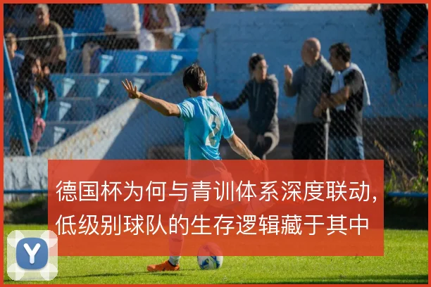 德国杯为何与青训体系深度联动，低级别球队的生存逻辑藏于其中