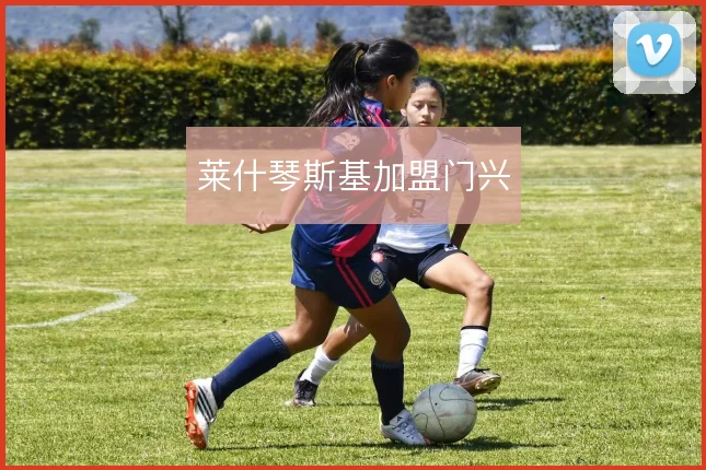 莱什琴斯基加盟门兴