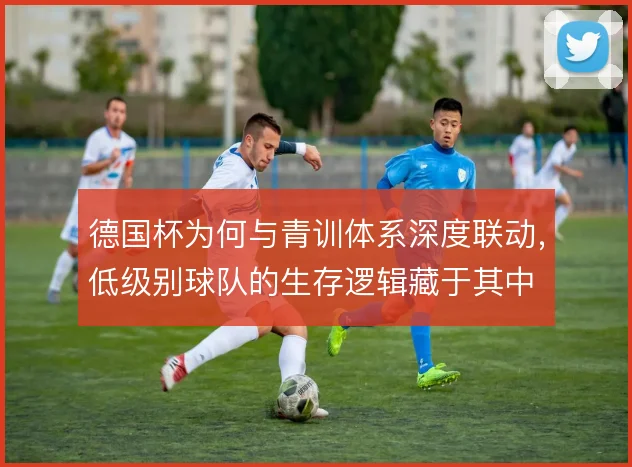 德国杯为何与青训体系深度联动，低级别球队的生存逻辑藏于其中
